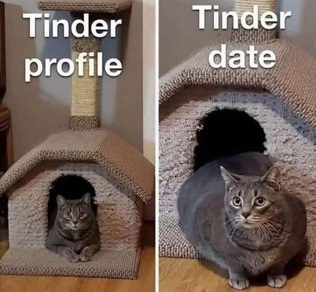 funny pics and memes 9 2 Funny Pics and Memes to Make You Laugh #155 (20 photos)