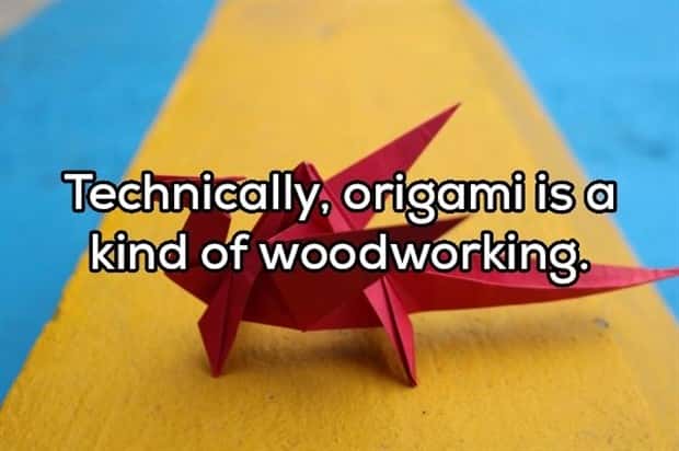 Funny Shower Thoughts #155 (24 photos)