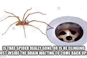 Funny Shower Thoughts #154 (23 photos)