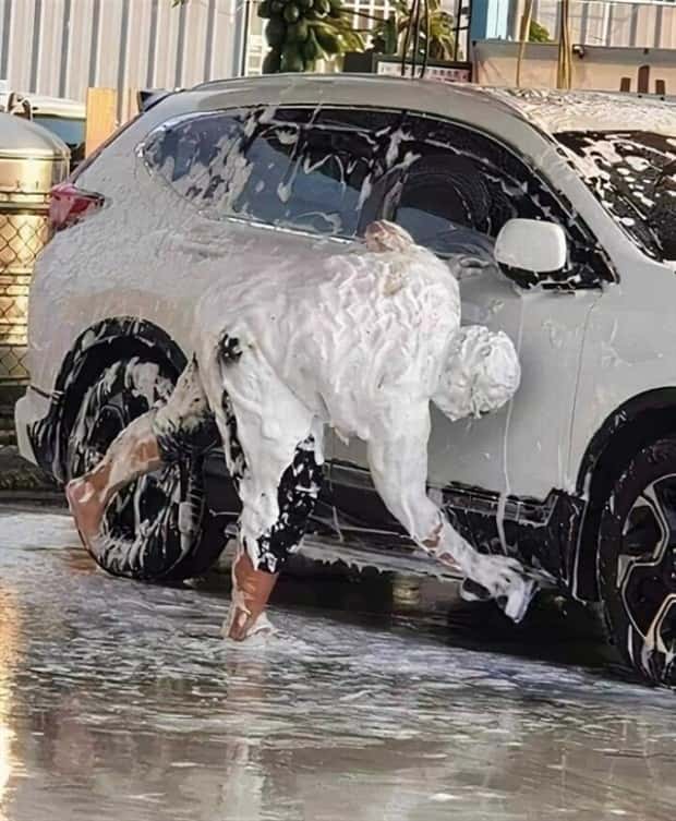 Klyker Picdump #1714 (44 photos)