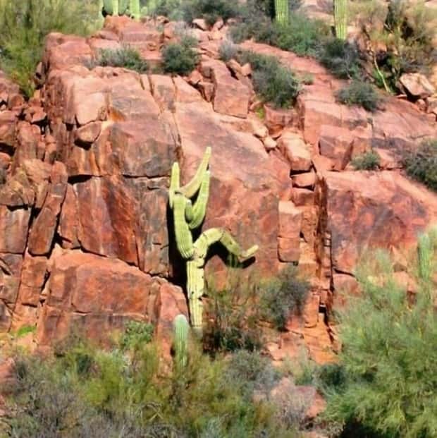 Klyker Picdump #1714 (44 photos)