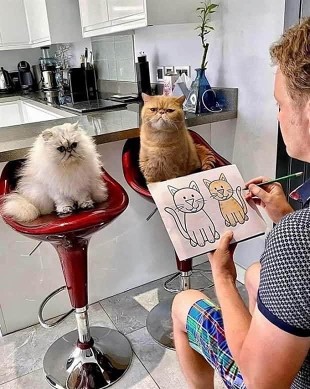 Klyker Picdump #1714 (44 photos)