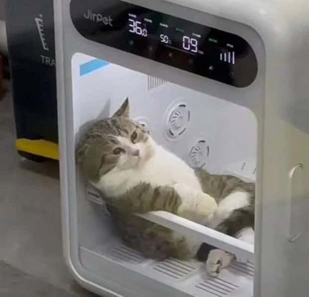 Klyker Picdump #1721 (41 photos)