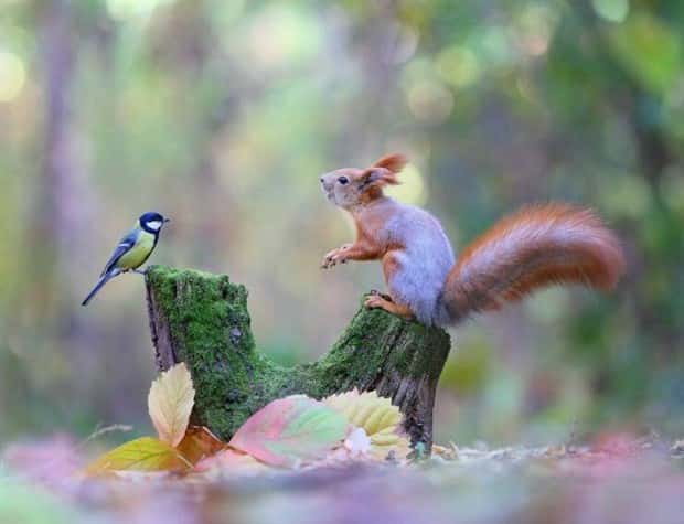 Klyker Picdump #1721 (41 photos)