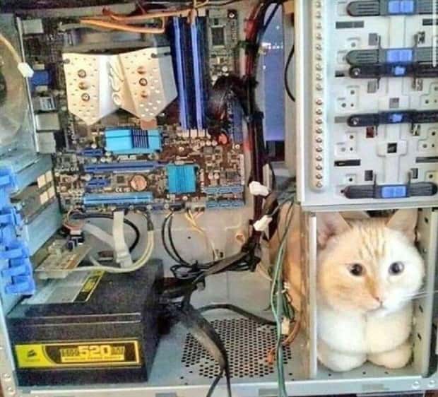 Klyker Picdump #1721 (41 photos)