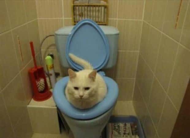 Klyker Picdump #1721 (41 photos)