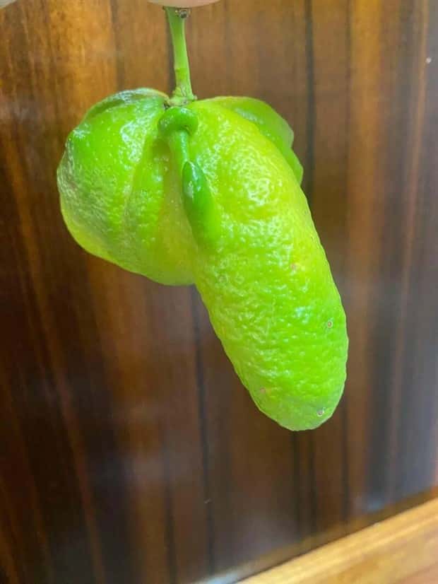 Klyker Picdump #1722 (42 photos)