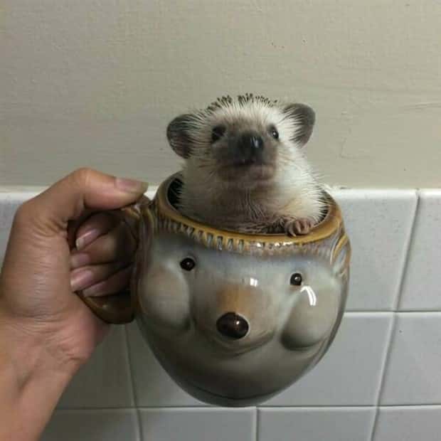 Klyker Picdump #1722 (42 photos)