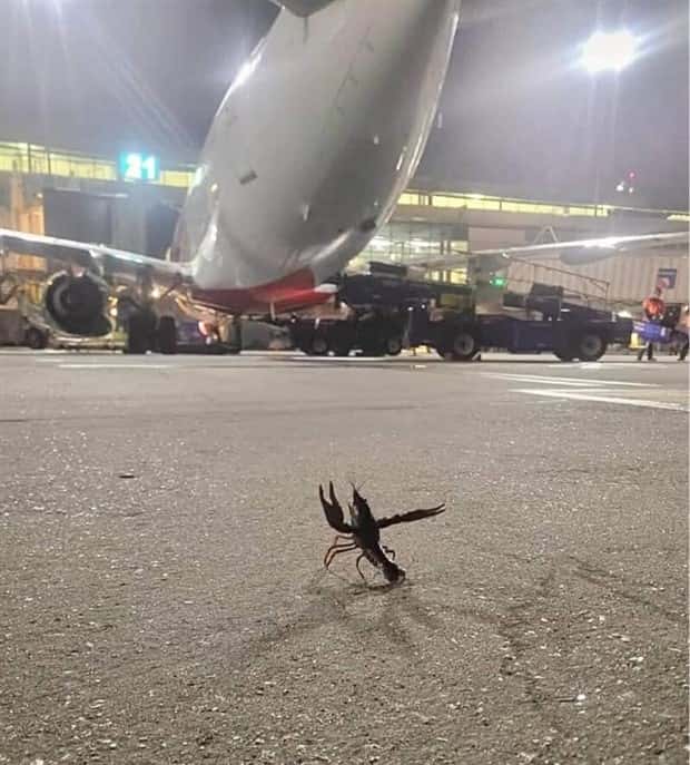 Klyker Picdump #1722 (42 photos)