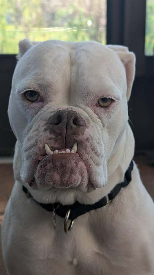 Klyker Picdump #1723 (43 photos)