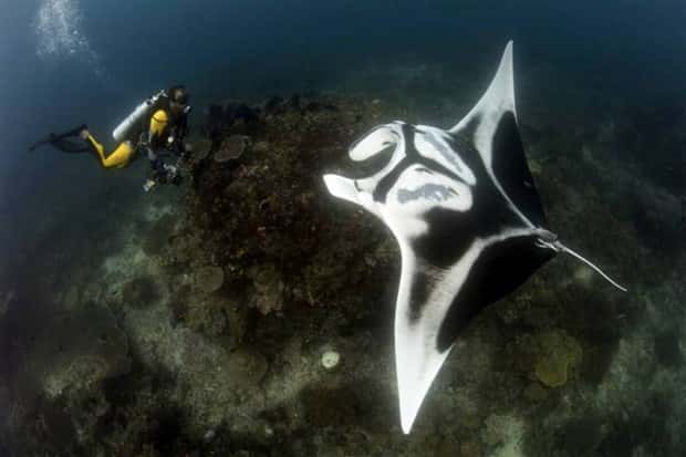 Klyker Picdump #1723 (43 photos)