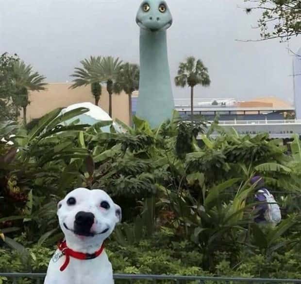 Klyker Picdump #1723 (43 photos)