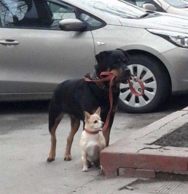 Klyker Picdump #1723 (43 photos)