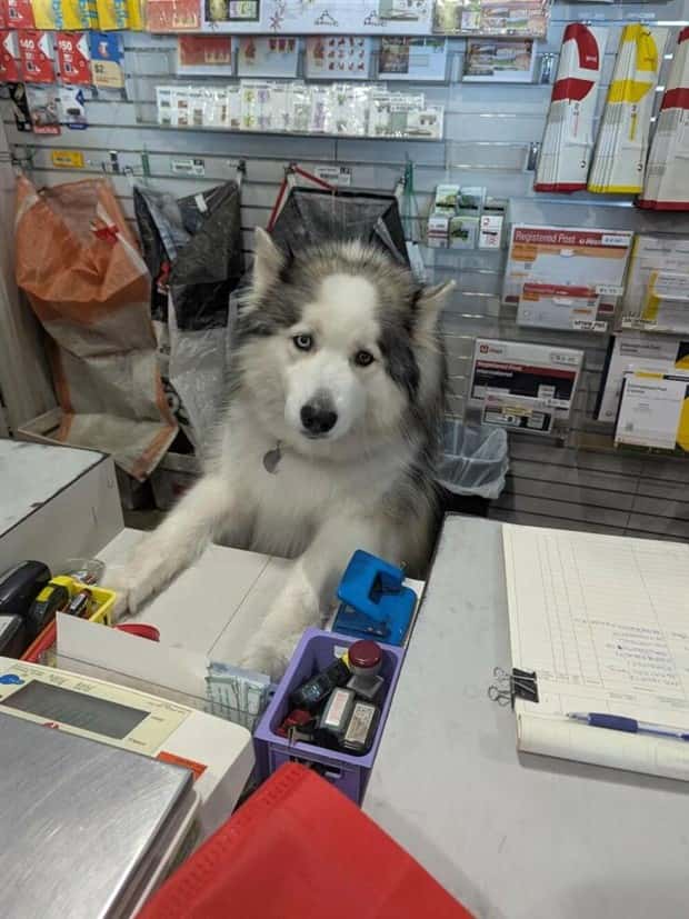 Klyker Picdump #1723 (43 photos)