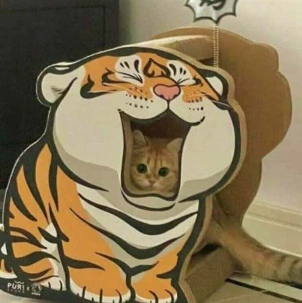 Klyker Picdump #1723 (43 photos)