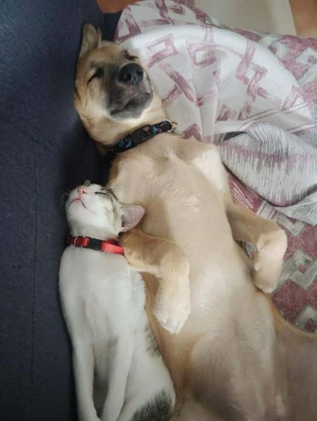 Klyker Picdump #1723 (43 photos)