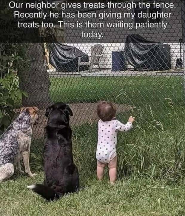 Klyker Picdump #1723 (43 photos)