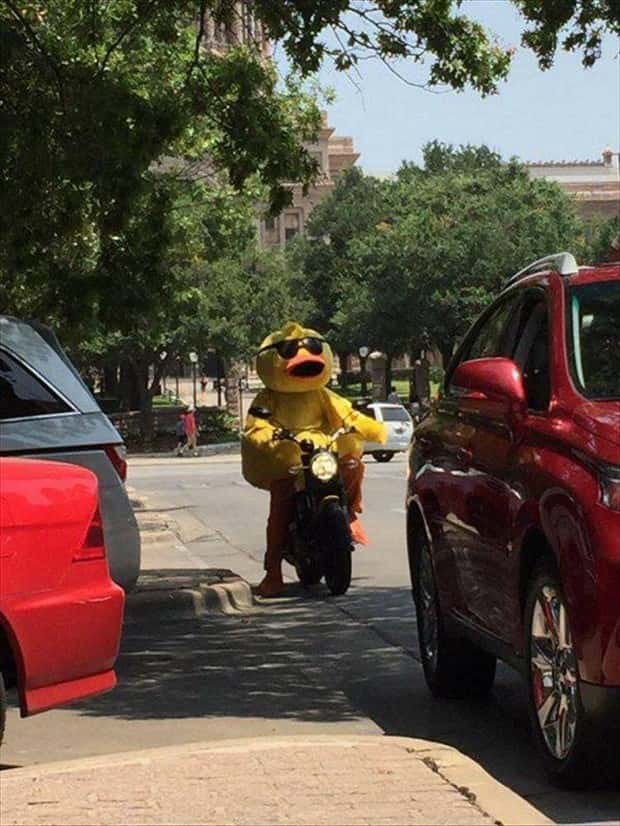 Klyker Picdump #1723 (43 photos)