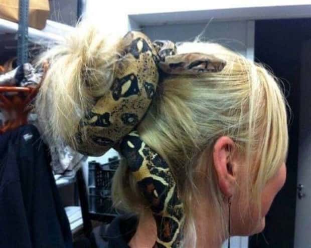 Klyker Picdump #1723 (43 photos)