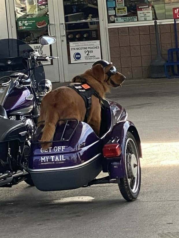Klyker Picdump #1725 (45 photos)