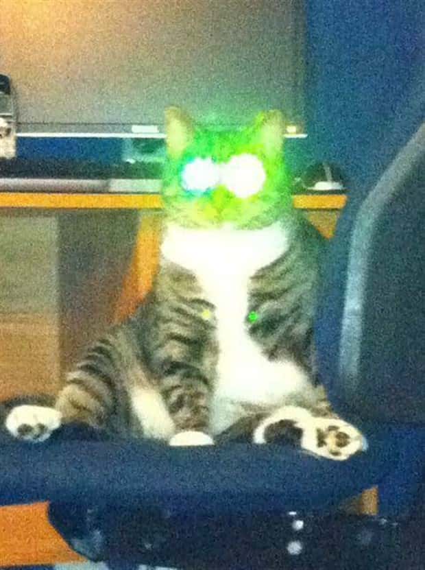 Klyker Picdump #1725 (45 photos)