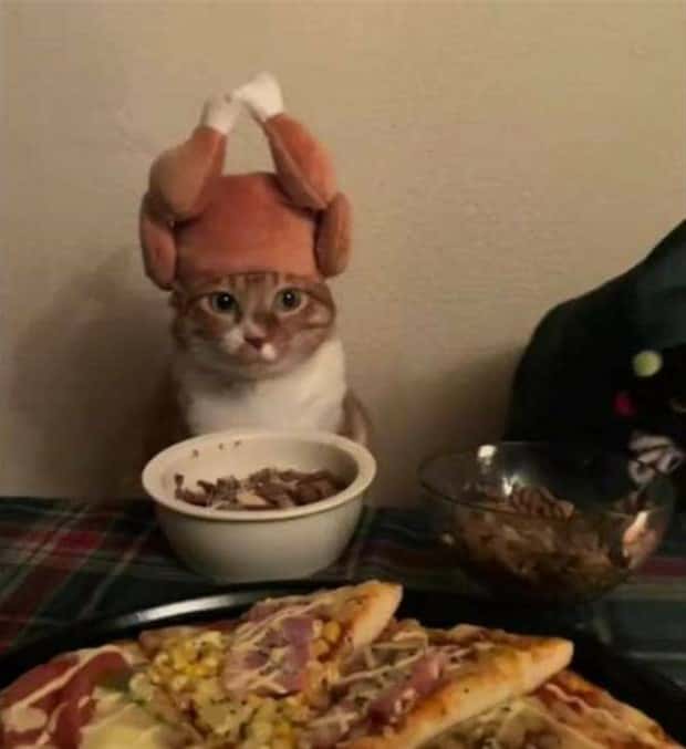 Klyker Picdump #1725 (45 photos)