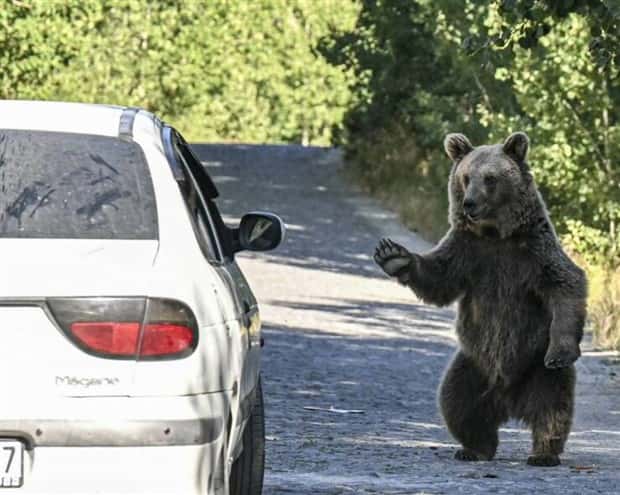 Klyker Picdump #1726 (41 photos)