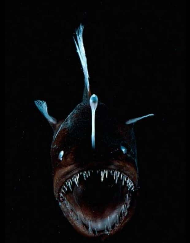 Klyker Picdump #1726 (41 photos)