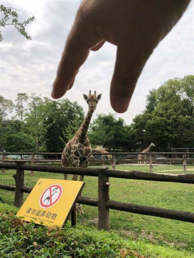 Klyker Picdump #1727 (42 photos)