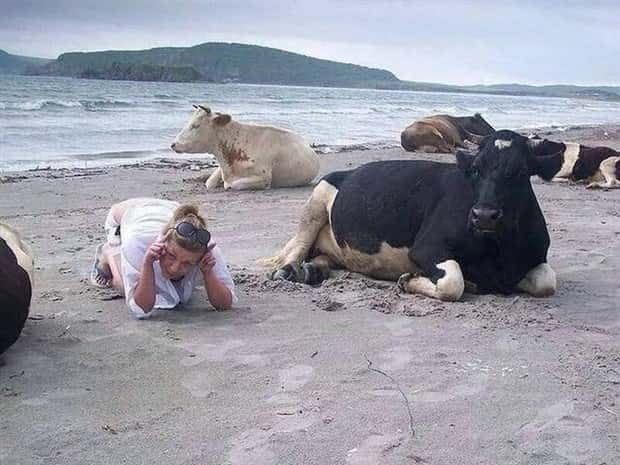 Klyker Picdump #1727 (42 photos)