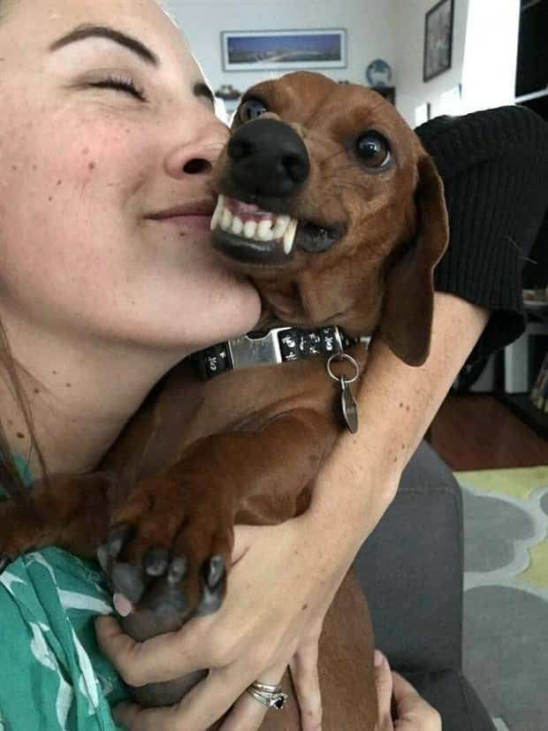 Klyker Picdump #1728 (43 photos)