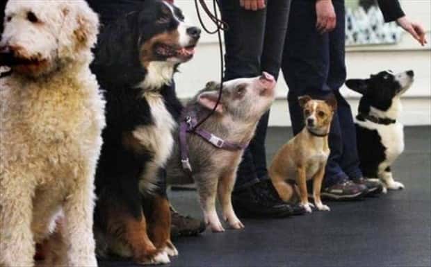 Klyker Picdump #1728 (43 photos)