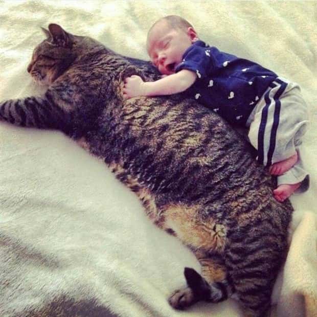 Klyker Picdump #1728 (43 photos)