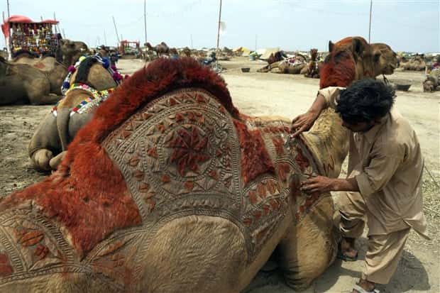 Klyker Picdump #1728 (43 photos)