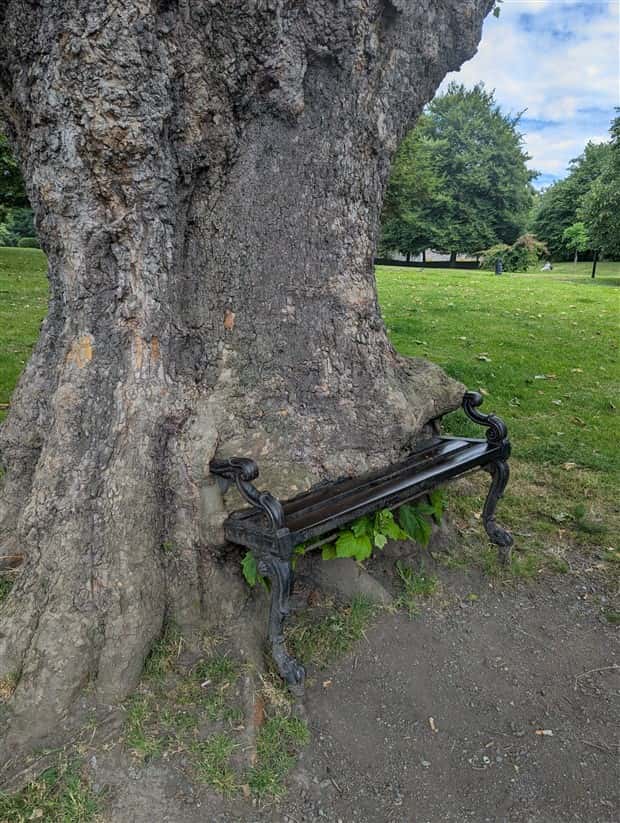 Klyker Picdump #1728 (43 photos)