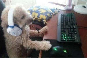 Klyker Picdump #1729 (44 photos)