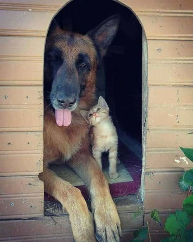 klyker picdump 5 23 2025 19 Klyker Picdump #1730 (45 photos)