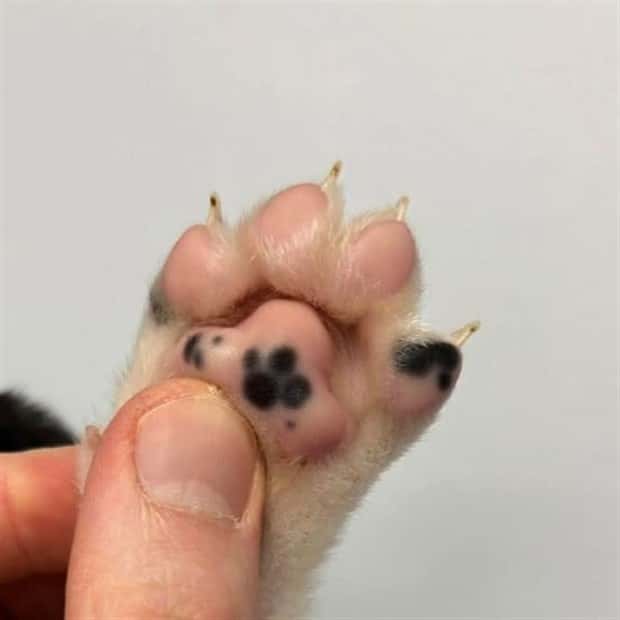 klyker picdump 5 8 2025 1 Klyker Picdump #1719 (44 photos)