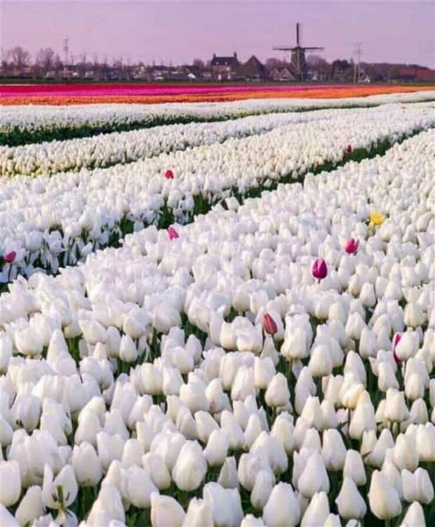 klyker picdump 5 8 2025 19 Klyker Picdump #1719 (44 photos)