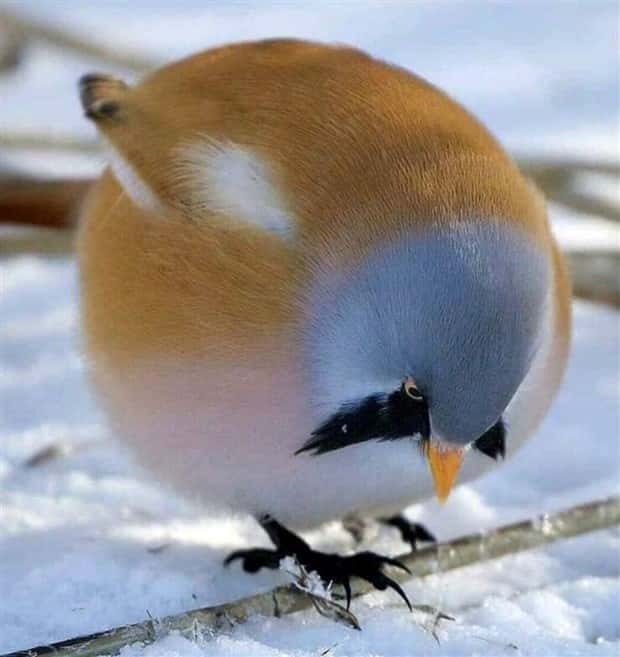 klyker picdump 5 8 2025 27 Klyker Picdump #1719 (44 photos)