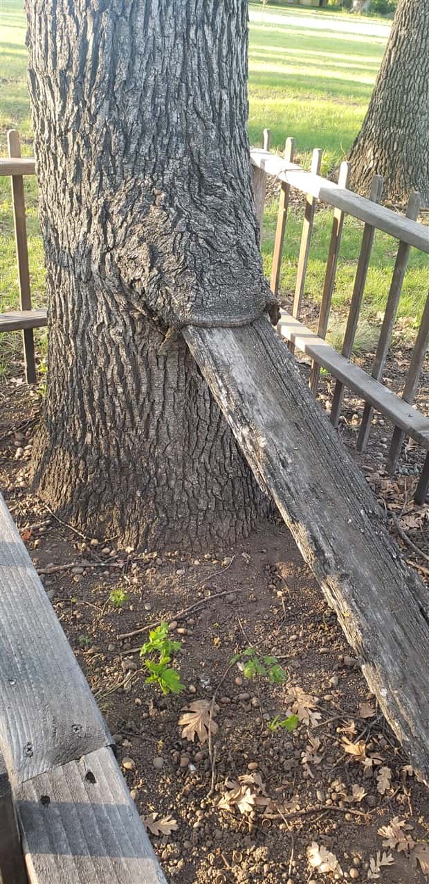 klyker picdump 5 8 2025 32 Klyker Picdump #1719 (44 photos)