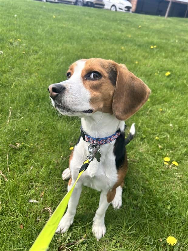 klyker picdump 5 8 2025 34 Klyker Picdump #1719 (44 photos)