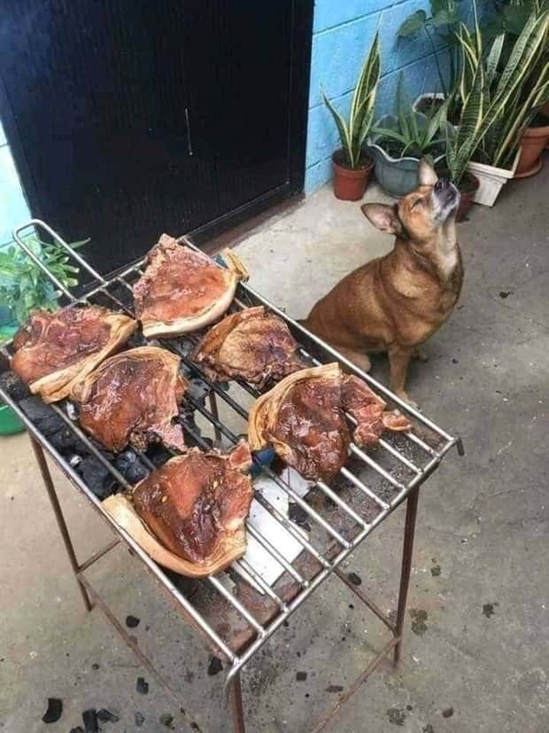 klyker picdump 5 8 2025 43 Klyker Picdump #1719 (44 photos)