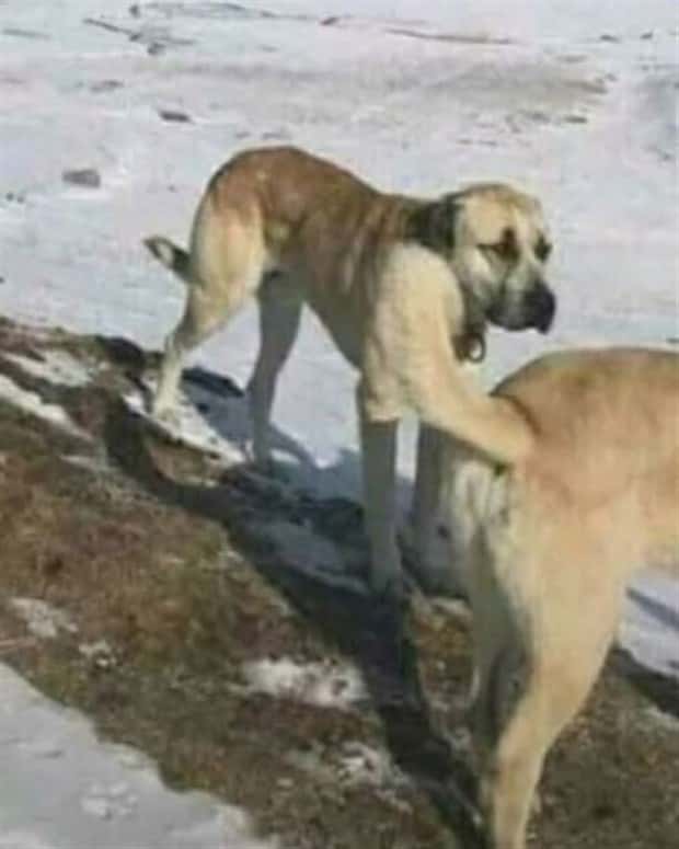 Look Twice, Trust Me #25 (26 photos)