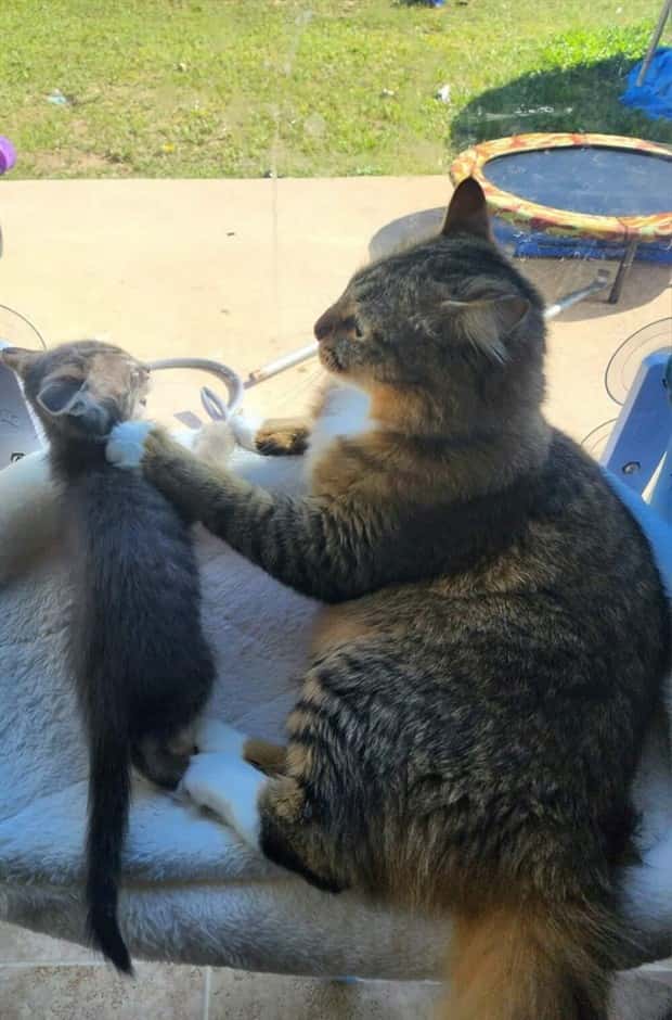 Look Twice, Trust Me #25 (26 photos)