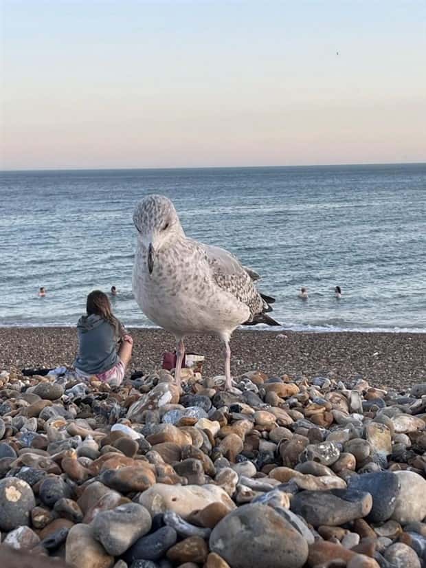 Look Twice, Trust Me #25 (26 photos)