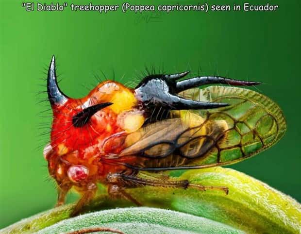 Interesting Pictures with Captions #155 (23 photos)