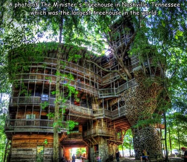 Interesting Pictures with Captions #155 (23 photos)