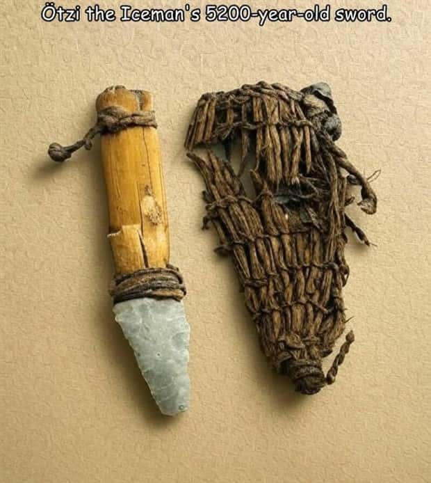 Interesting Pictures with Captions #156 (22 photos)