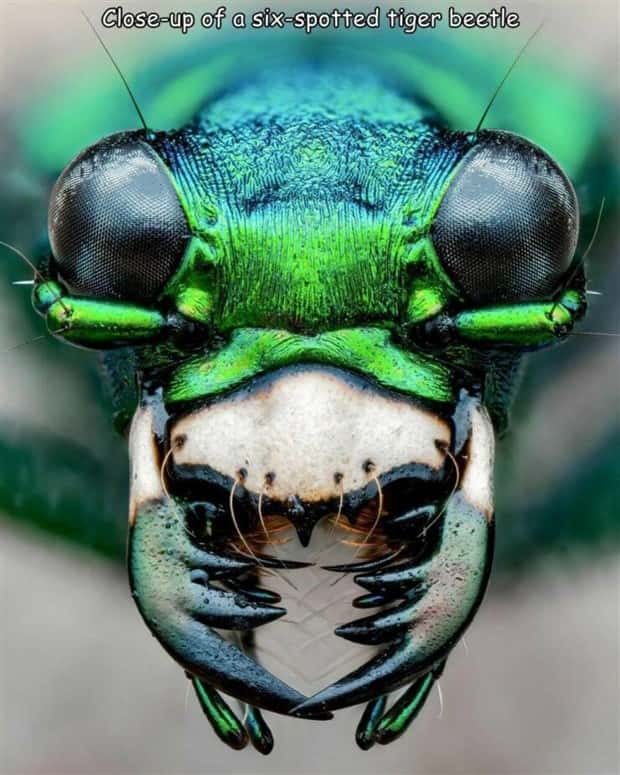 Interesting Pictures with Captions #156 (22 photos)